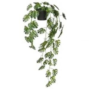 IKEA FEJKA Hanging Monstera Always Green No Maintenance 22.75" Long